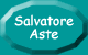 Ritorna alla home page di Salvatore Aste