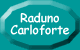 Indice raduno Carloforte