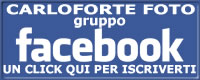 Carloforte foto - Gruppo Facebook - UN CLICK QUI PER ISCRIVERTI