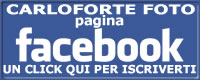 Carloforte foto - Pagina Facebook - UN CLICK QUI PER ISCRIVERTI