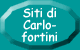 Collegamenti a siti fatti da Carlofortini